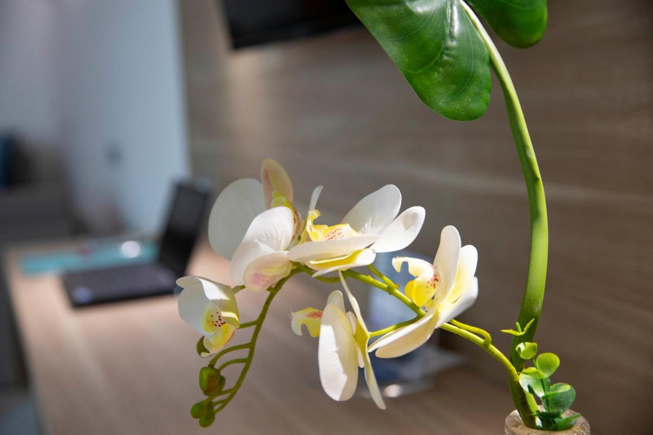 Pegasus Hotel Sassari Zewnętrze zdjęcie